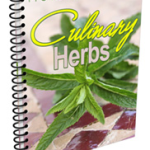 Culinary Herbs